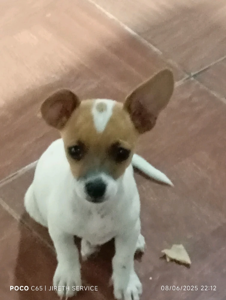 GIF subido por Brayan Otoniel