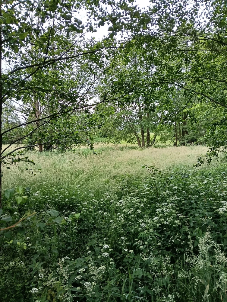 GIF dodany przez Dzika Róża