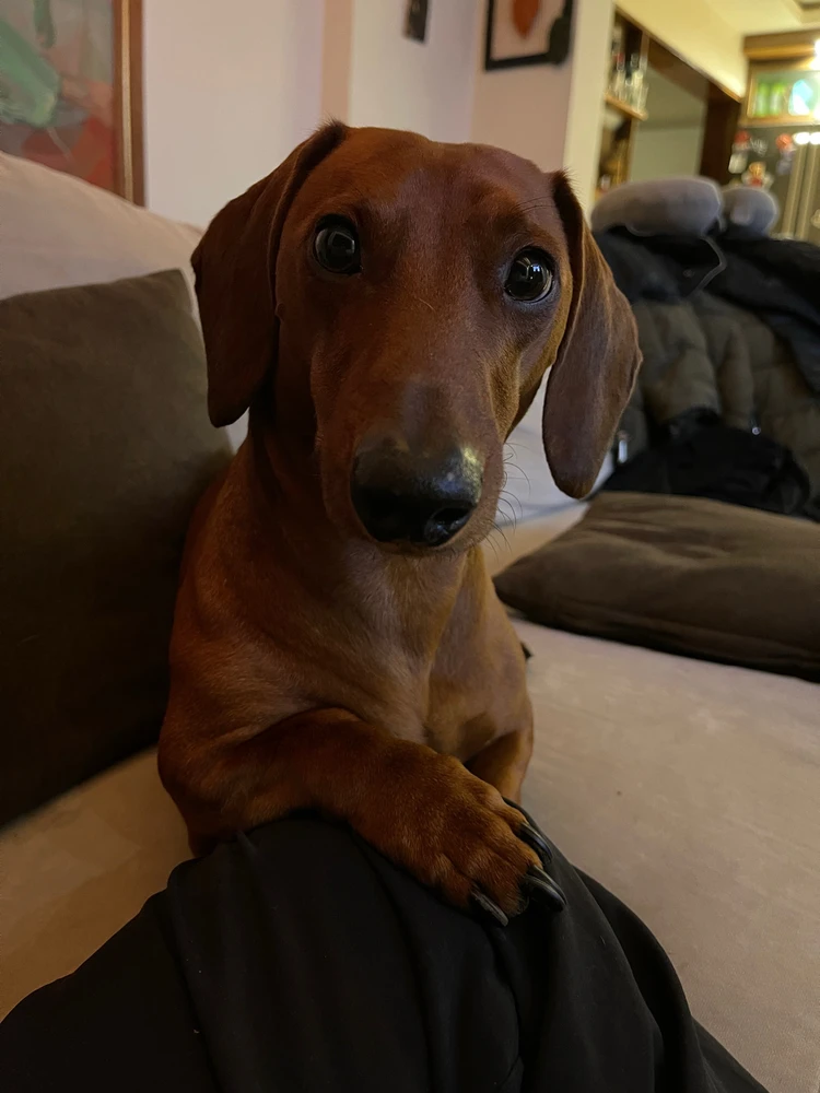 he is like “time to stop scrolling ma’am”