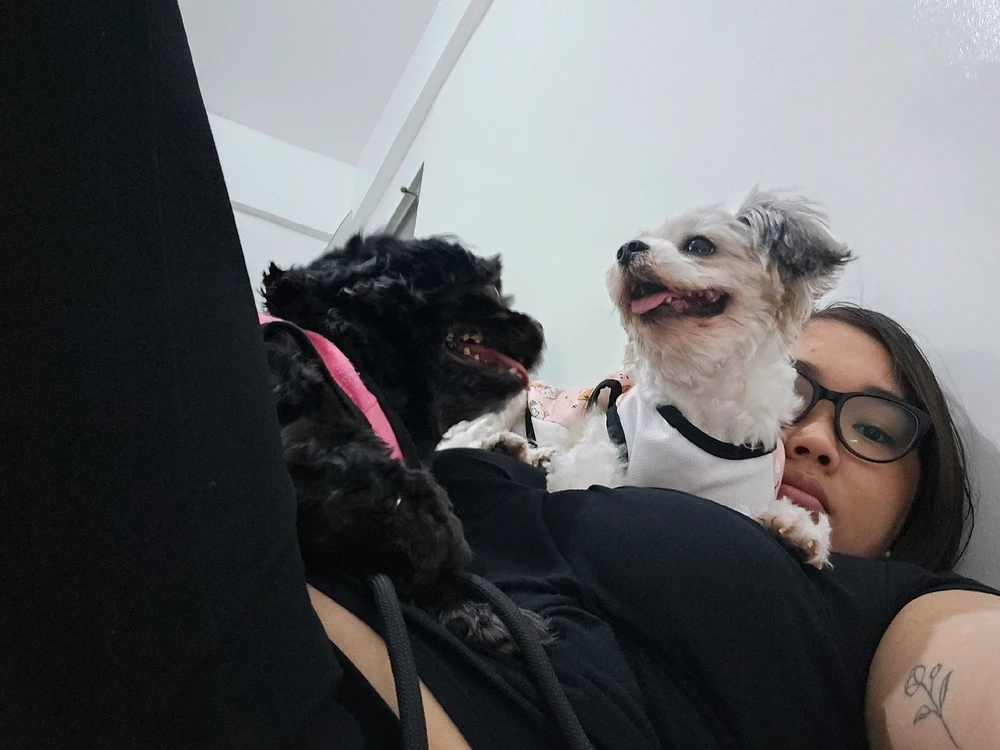 GIF uploaded by Sher