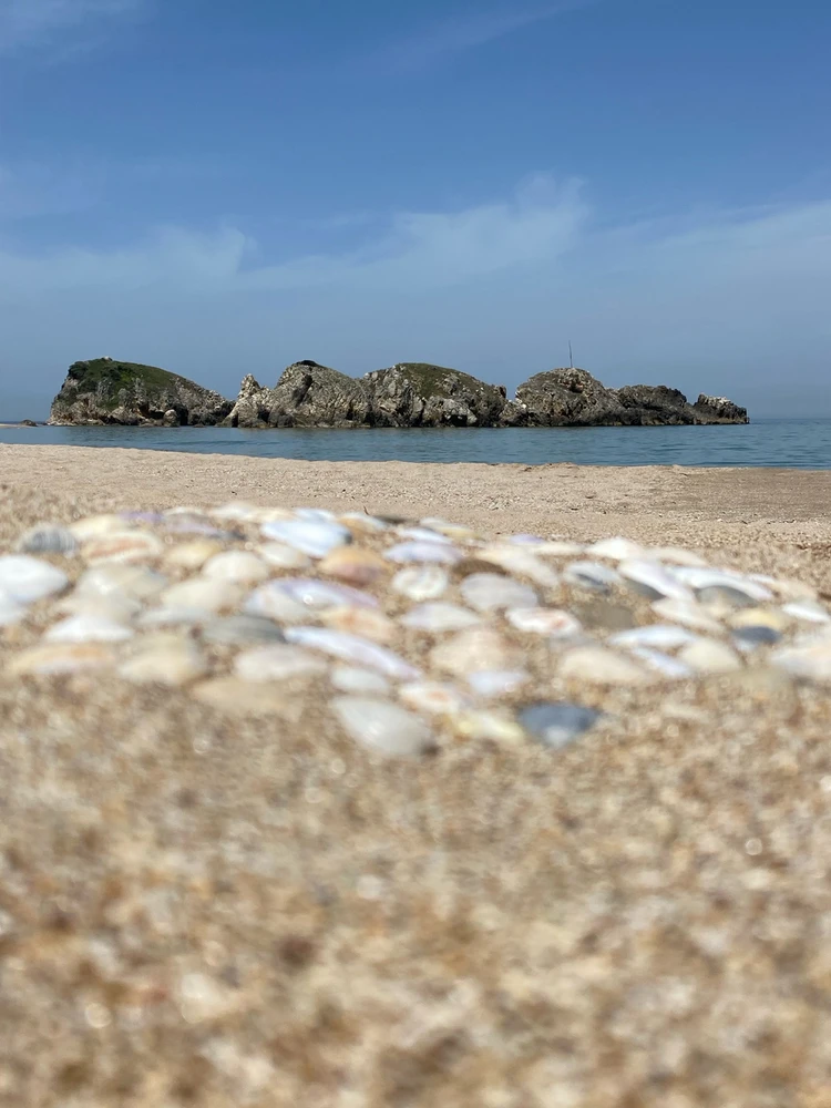 Ali tarafından yüklenen GIF