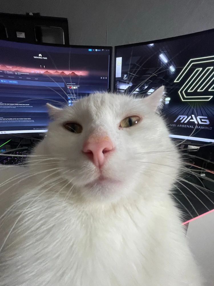 GIF hochgeladen von Leon