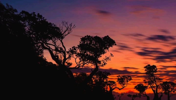 GIF diunggah oleh Sinta Akemi