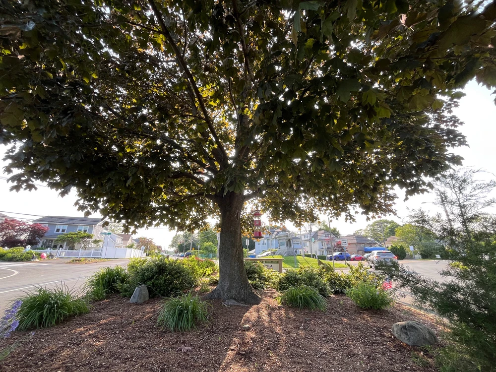 GIF uploaded by Asger