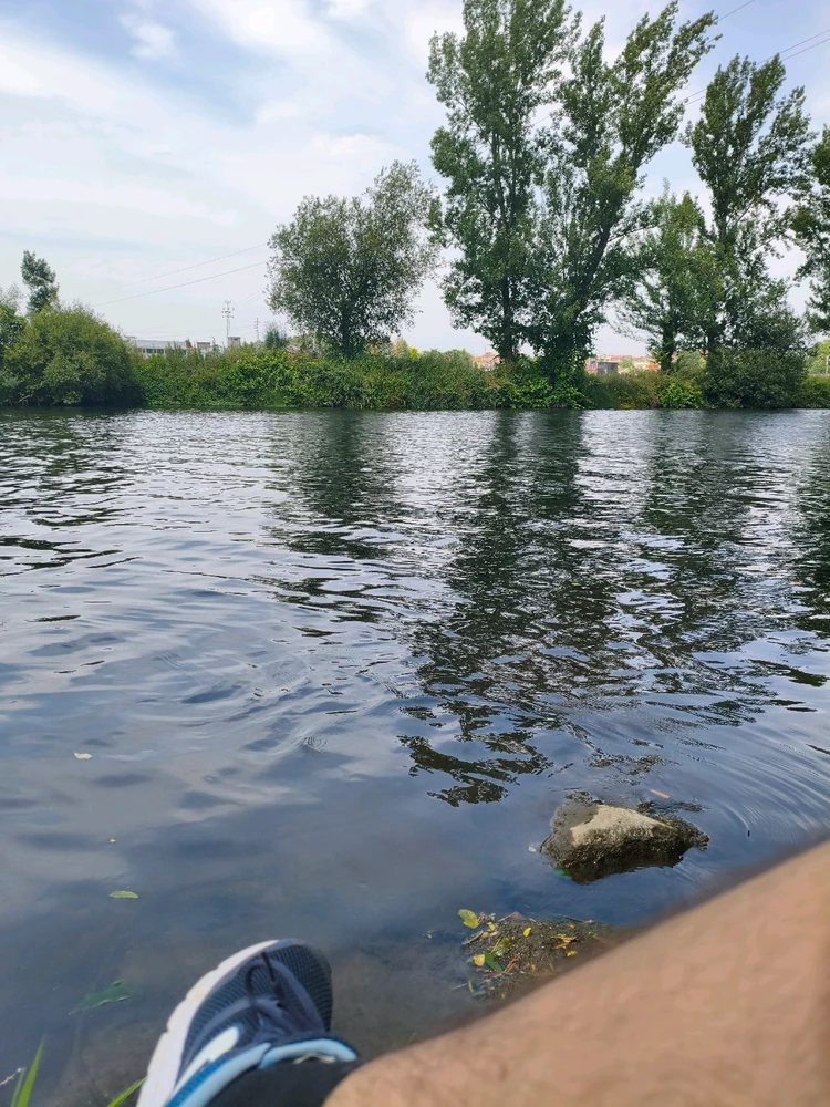 GIF enviado por Roberto