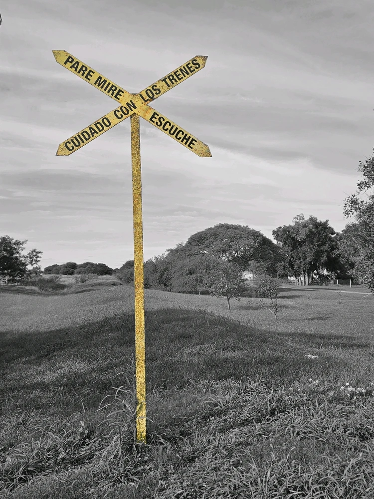 Image uploaded by Emiliano