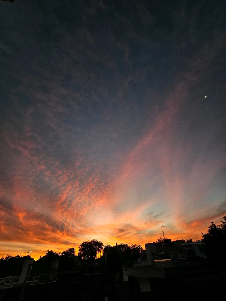 Image uploaded by Emiliano