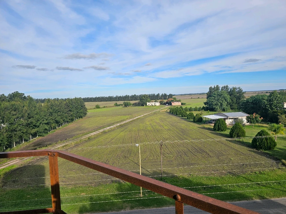 Image uploaded by Emiliano