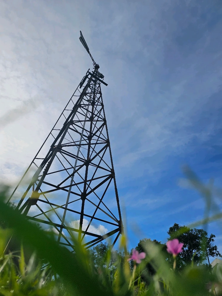 Image uploaded by Emiliano