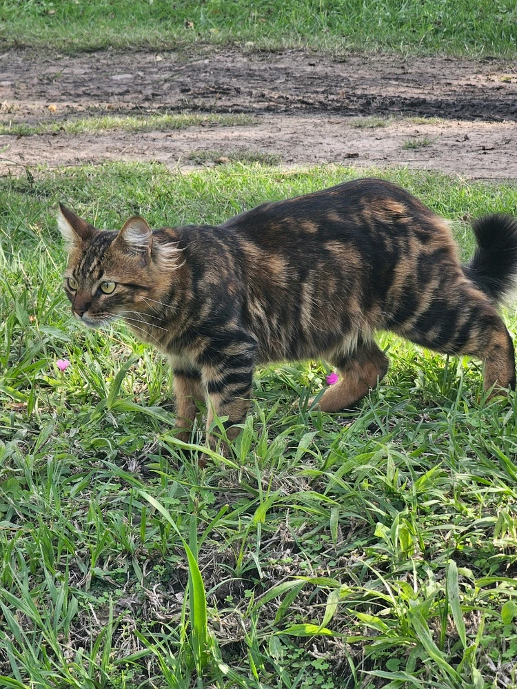 Image uploaded by Emiliano