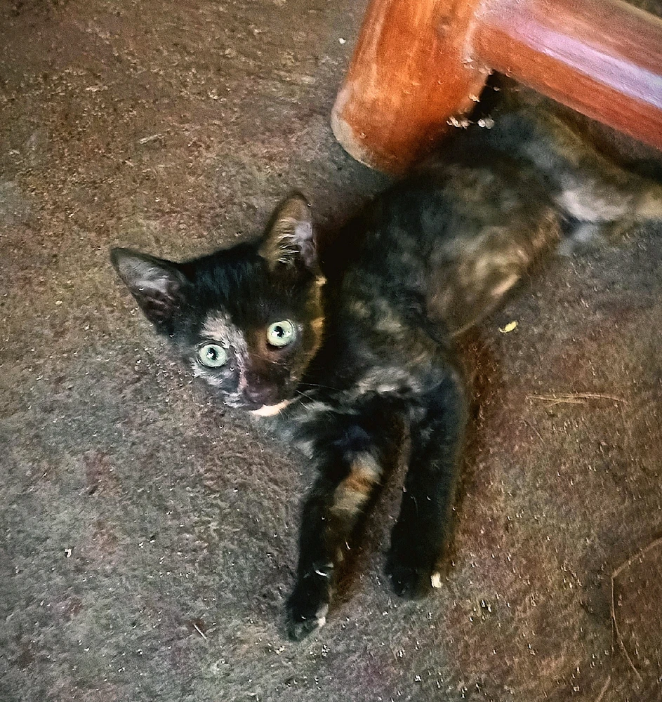 GIF uploaded by Vincent