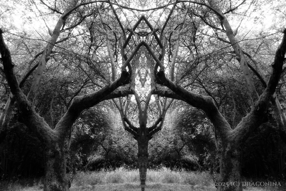 Zdjęcie dodane przez Czarna_Kosmitka