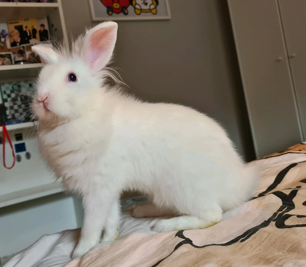 Mimi님이 올린 사진