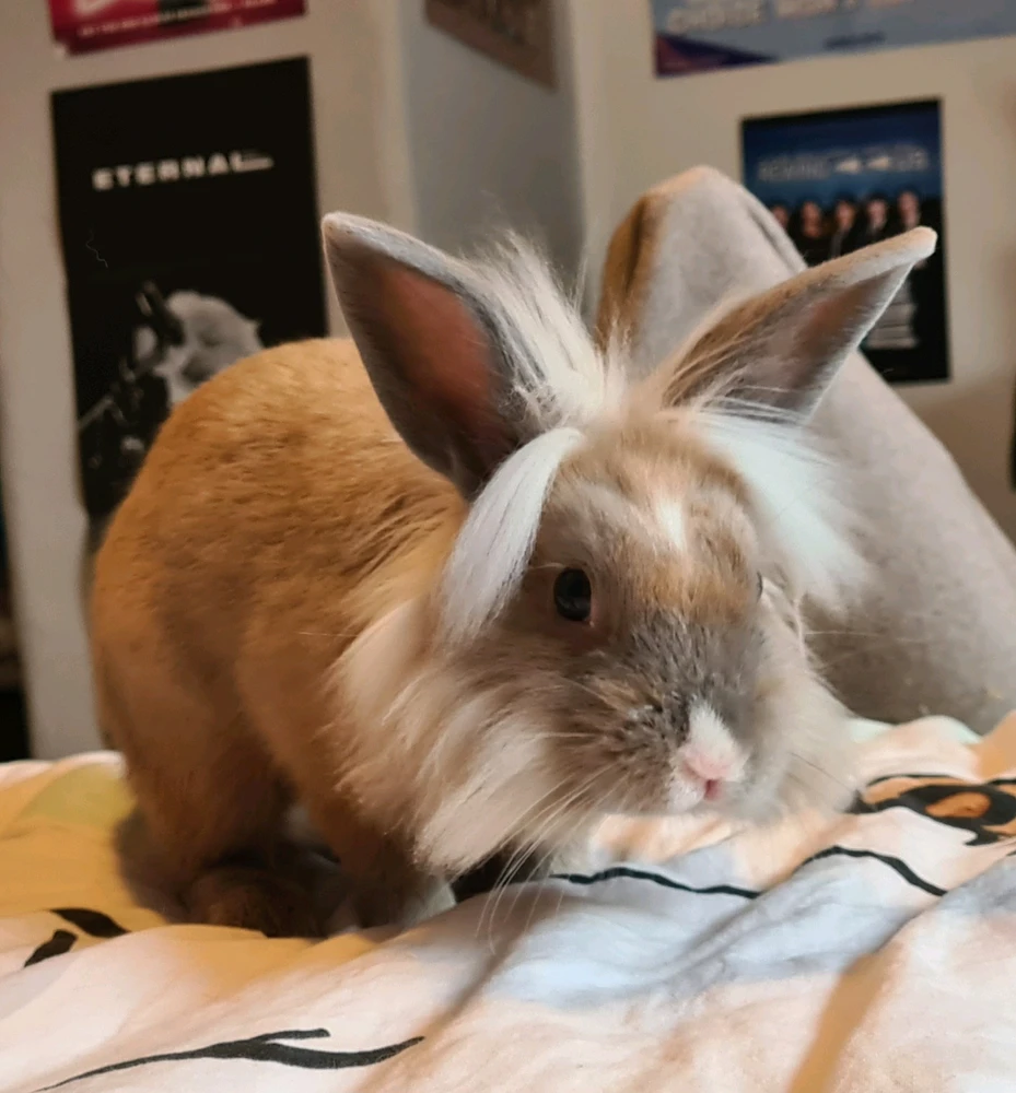 Mimi님이 올린 사진