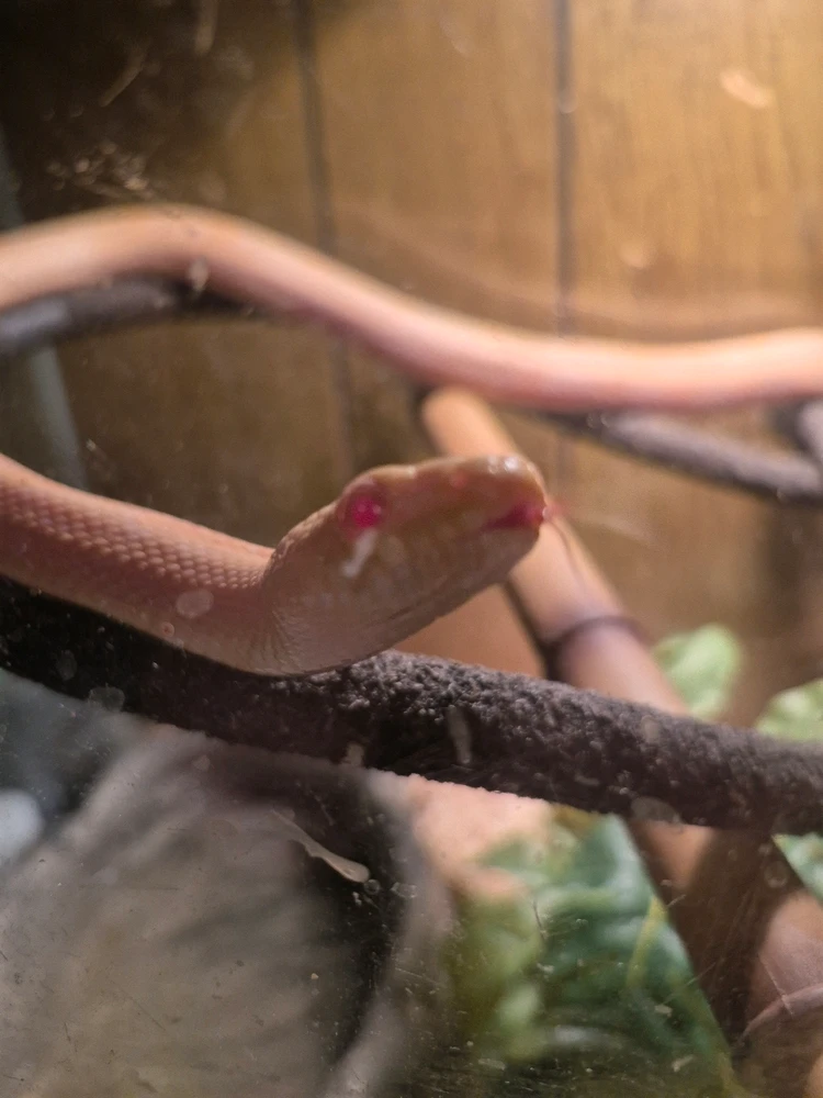 Image uploaded by Scott