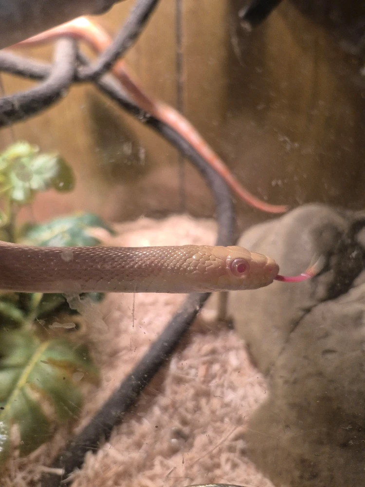 Image uploaded by Scott