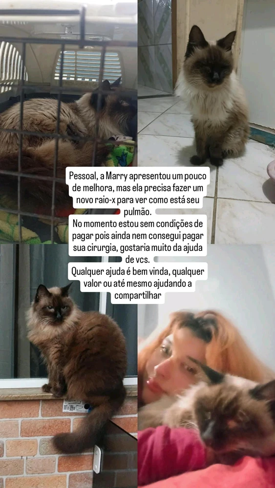 GIF enviado por Kiany