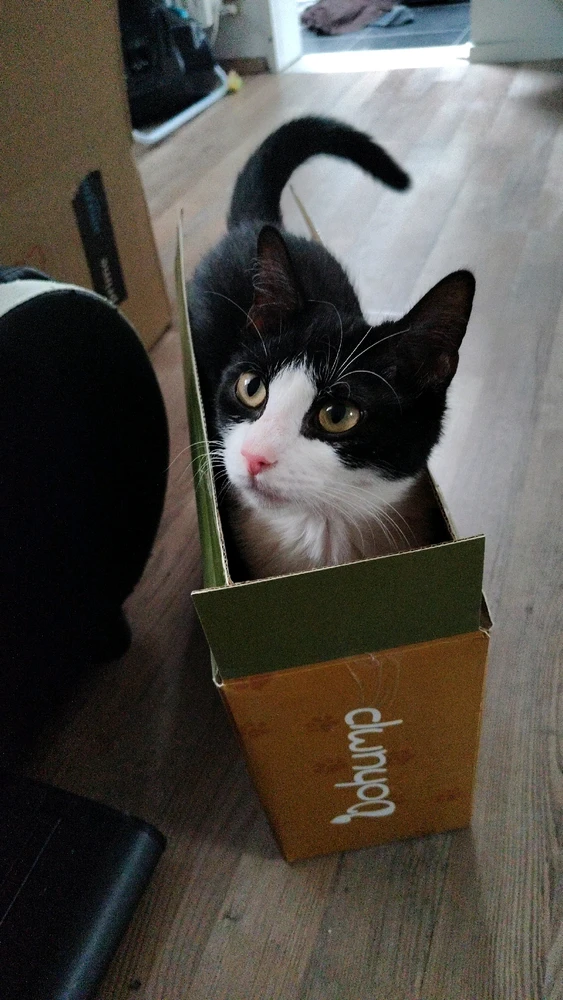 GIF hochgeladen von Nico