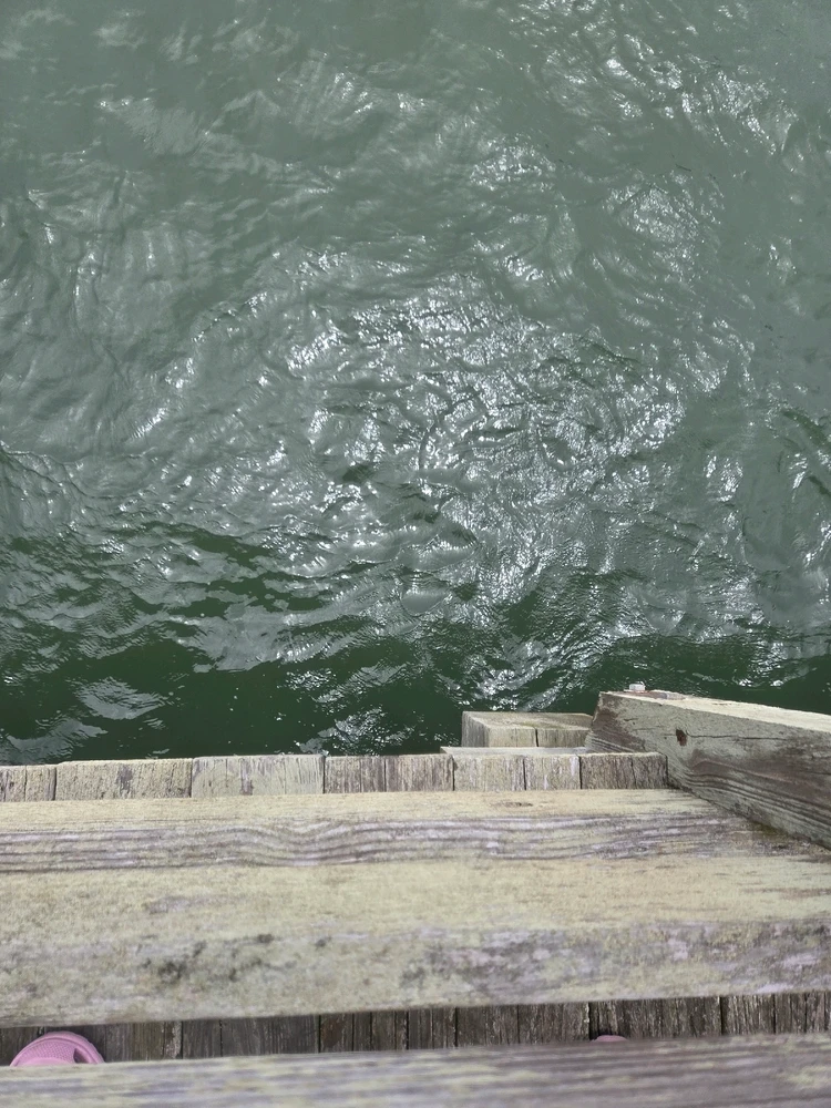 Image uploaded by Josh