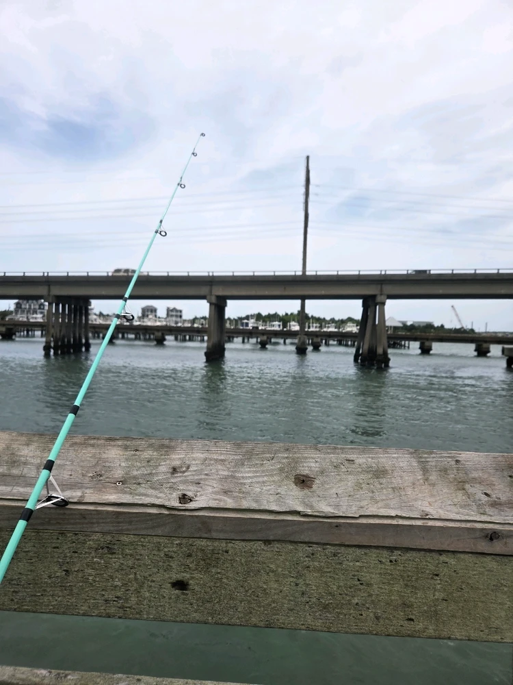 Image uploaded by Josh