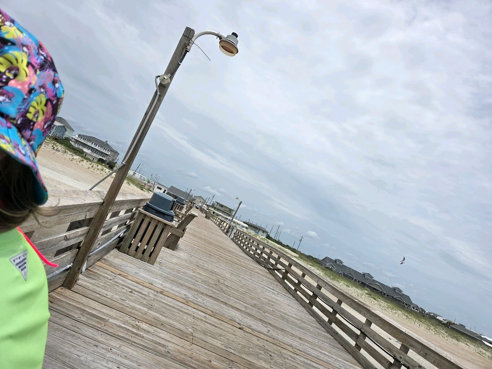 Image uploaded by Josh