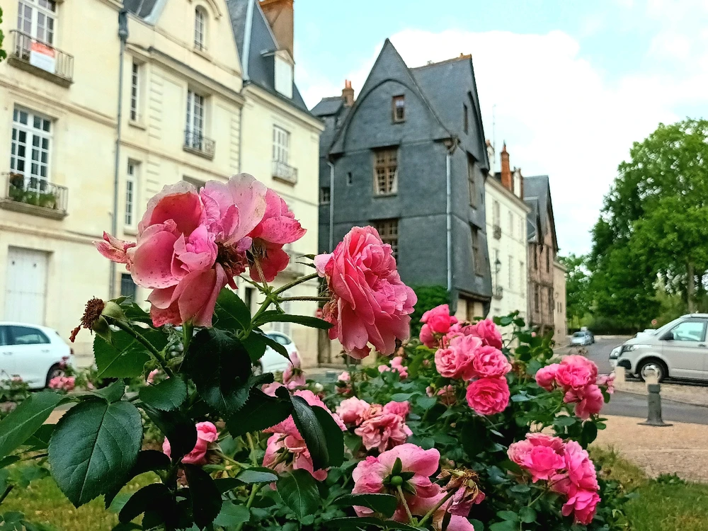 Image ajoutée par Cymoriel🦋