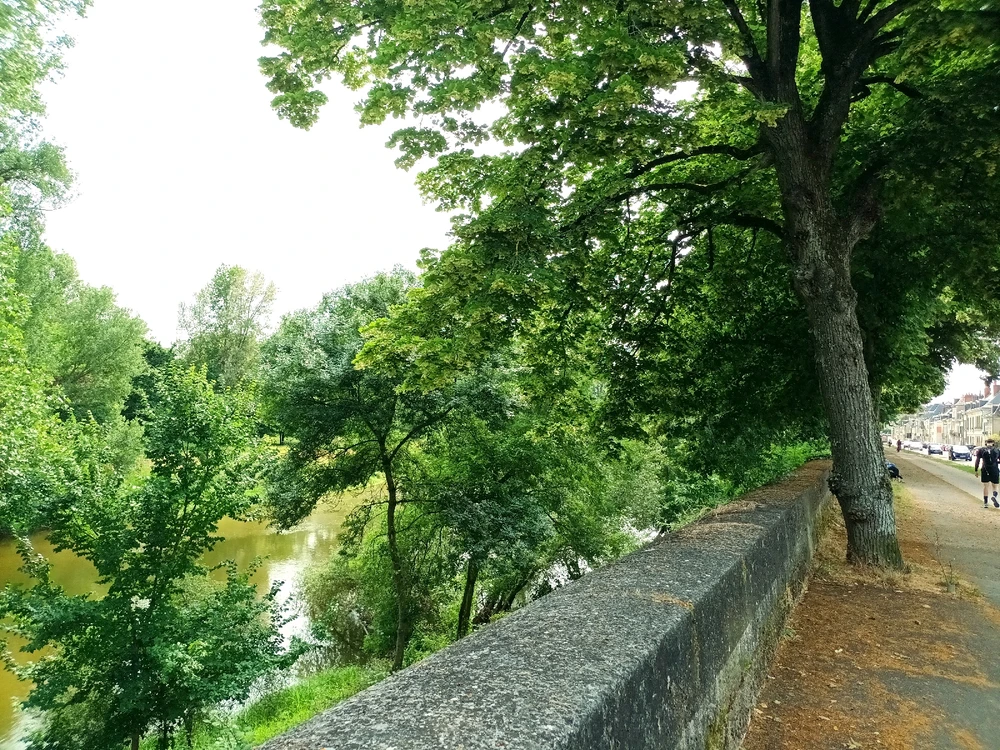 Image ajoutée par Cymoriel🦋