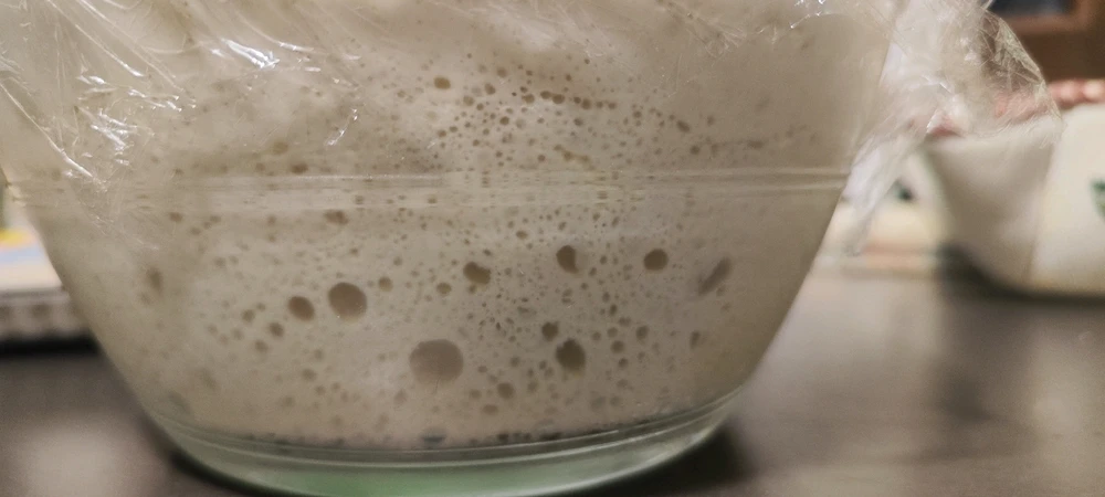 Immagine caricata da Patryk