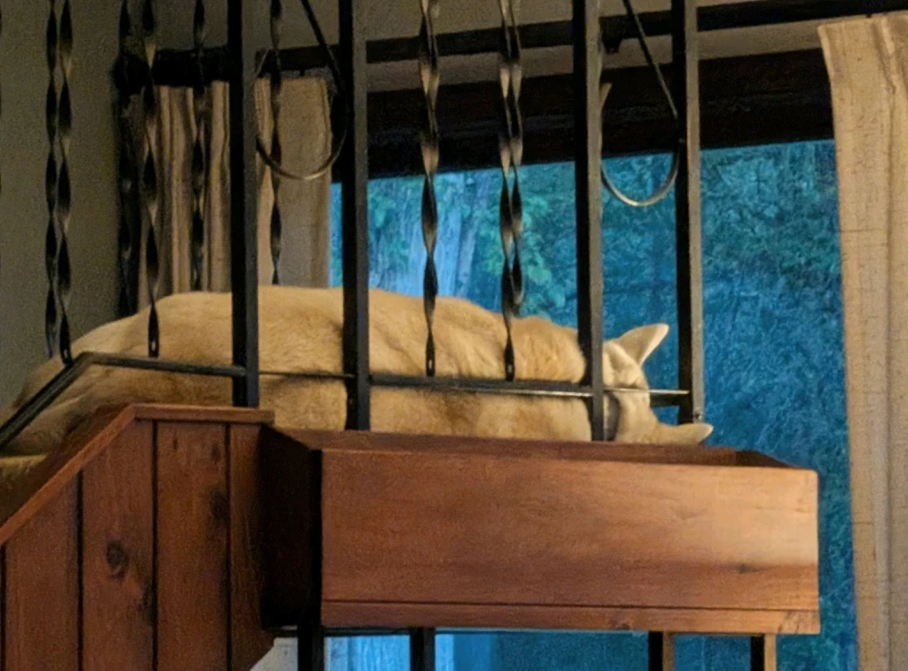 GIF diunggah dening Ron