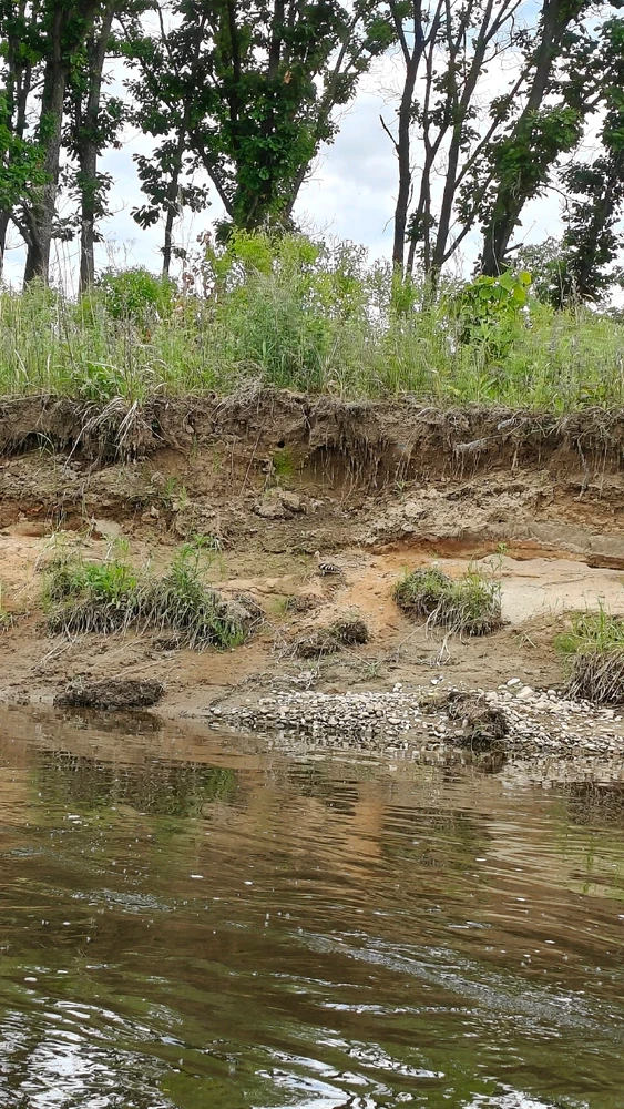 Image uploaded by Kate