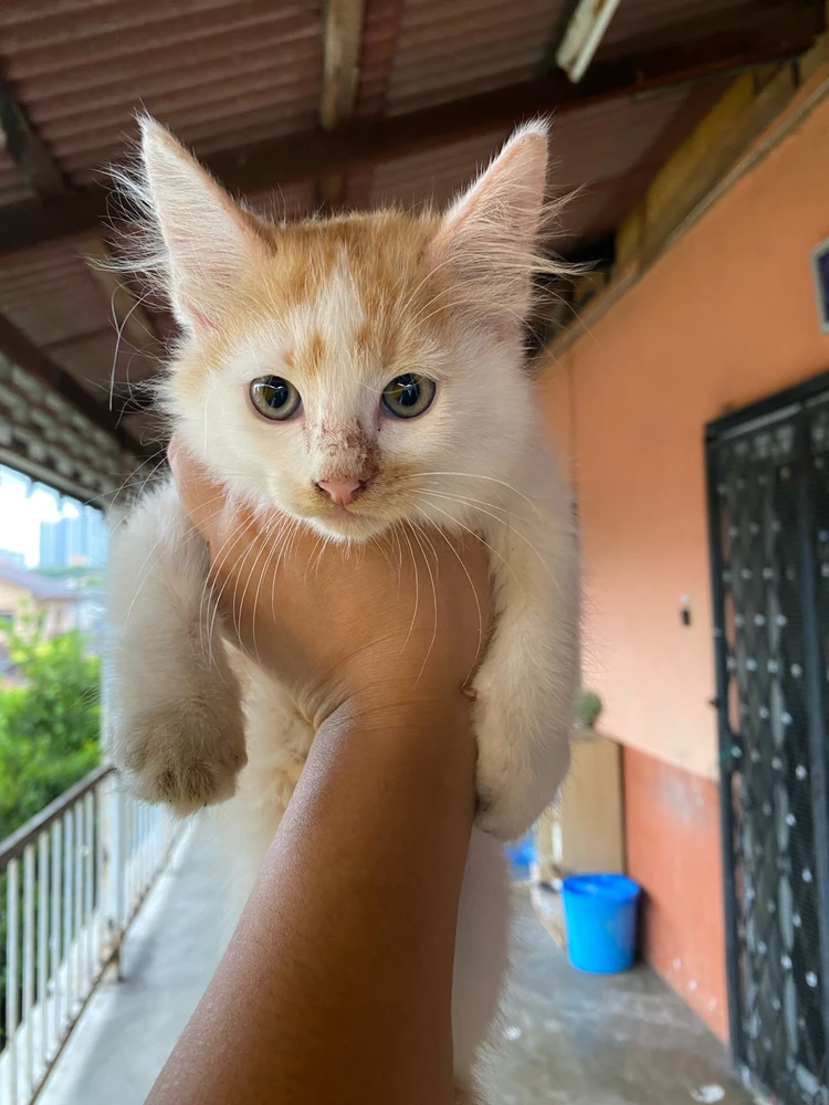 GIF uploaded by Mademoiselle Amy