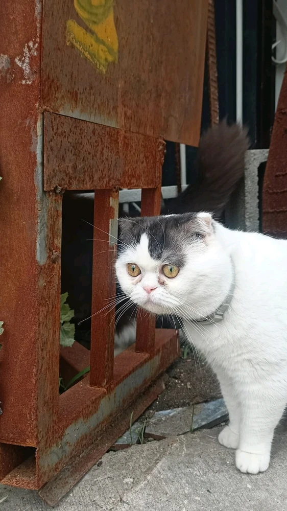 Imagen subida por Carlos Alberto Zamudio Sanchez