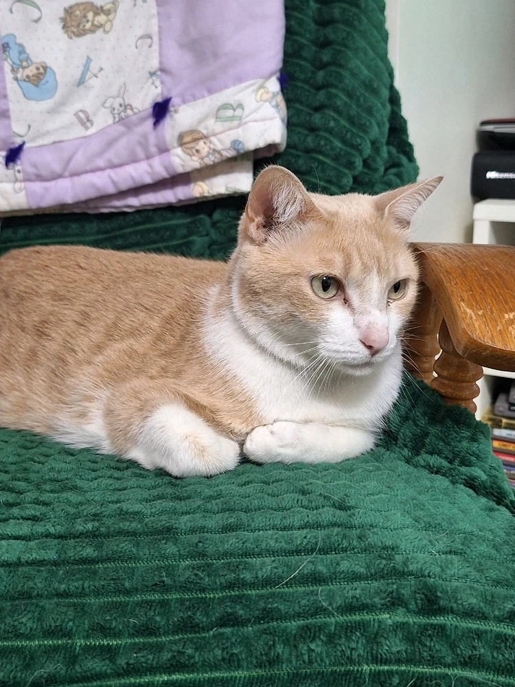 GIF uploaded by Sondra