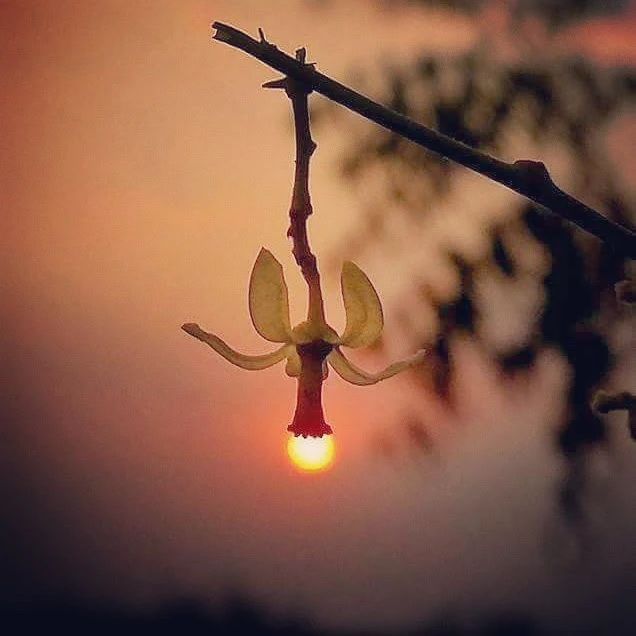 Гіфку завантажив Юрій