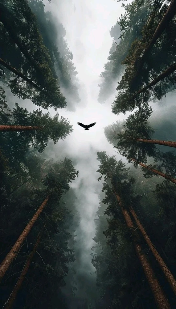 GIF uploaded by Pankaj