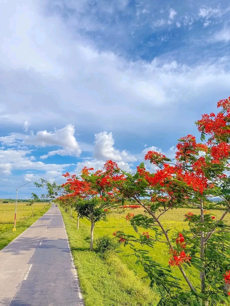 Gambar diunggah dening Isay