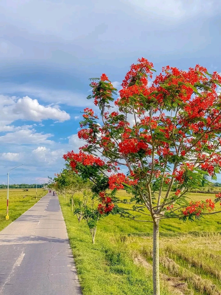 Gambar diunggah dening Isay