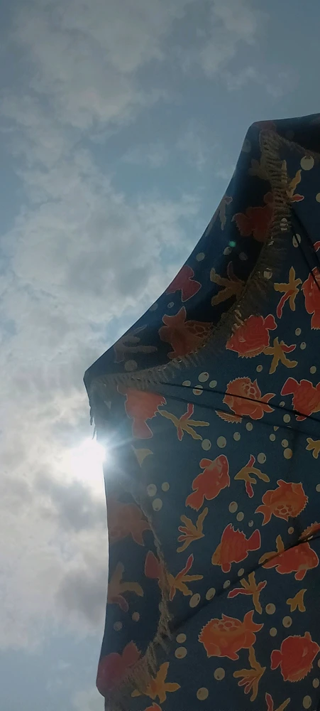 Image ajoutée par Milou