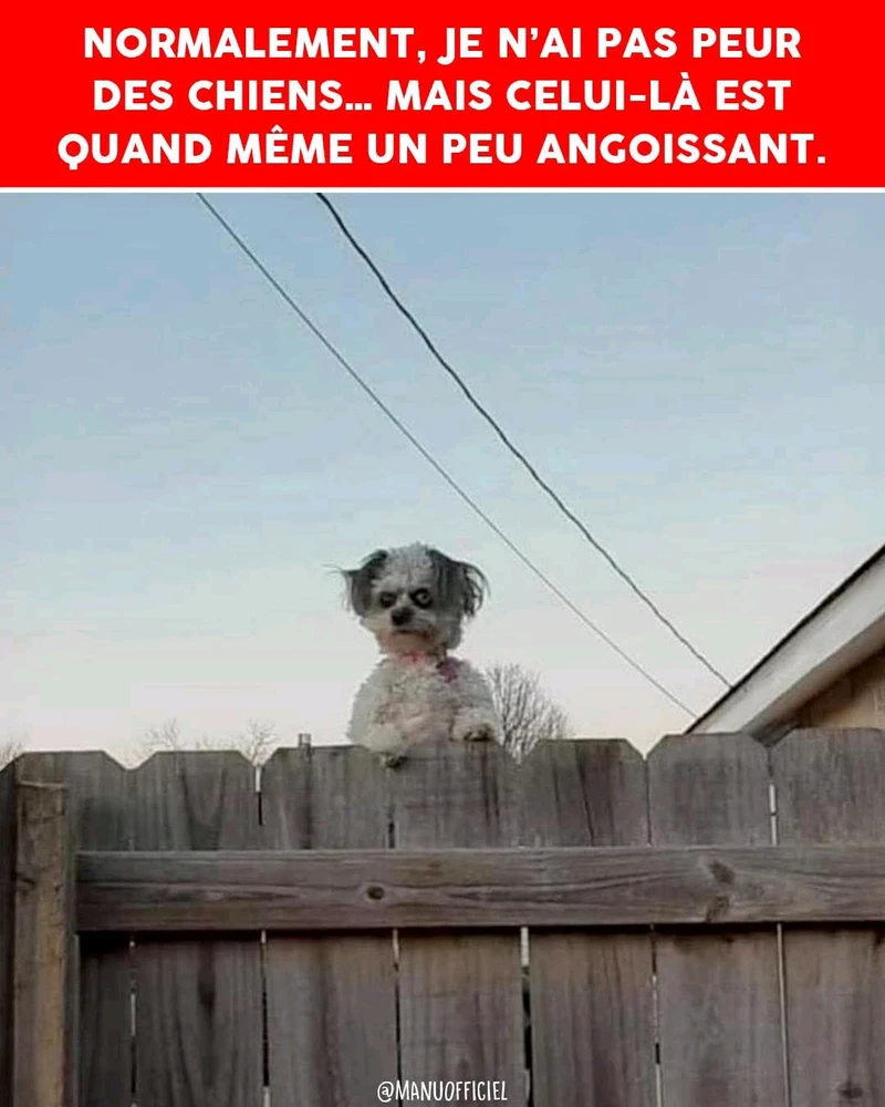 GIF ajouté par Majolie