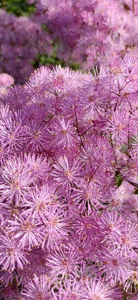 Image uploaded by Eleanor