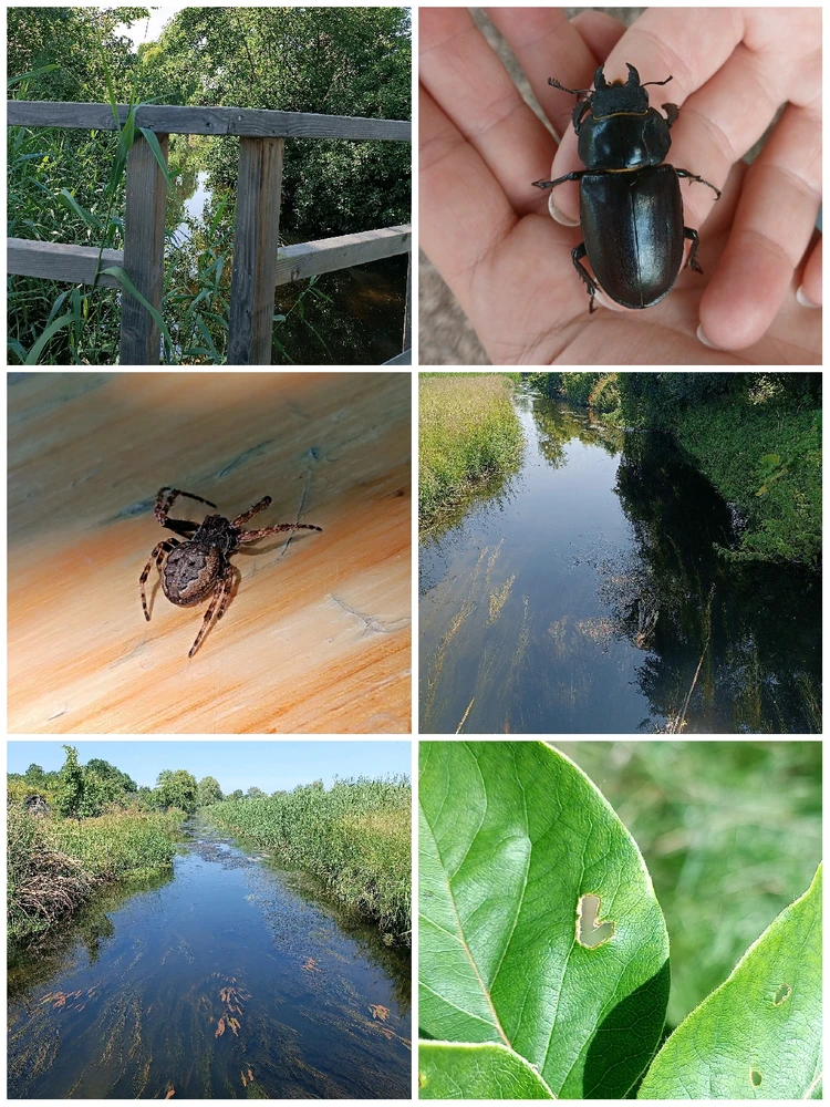 GIF hochgeladen von Lynnie ✨