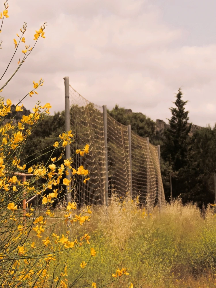 Imagen subida por Natalia