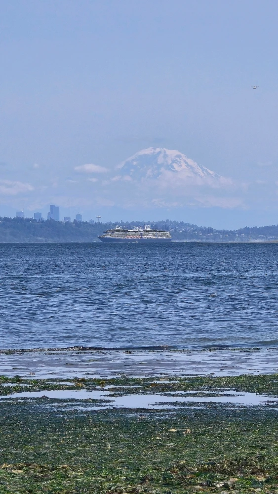 GIF uploaded by Alex