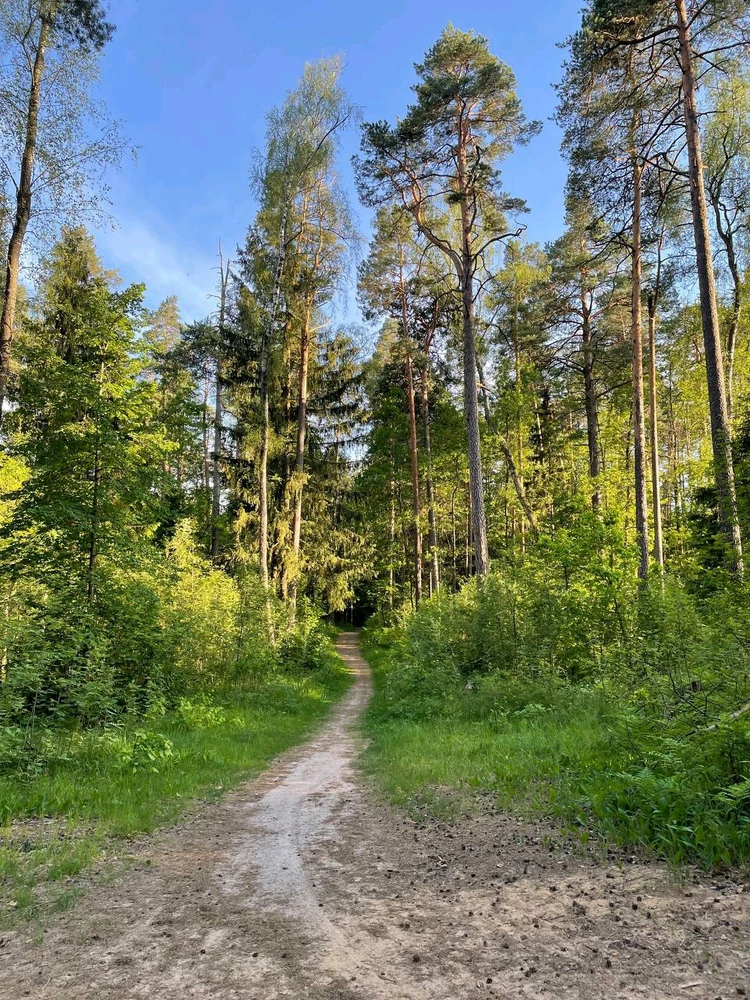 Фото загрузил Anatolii