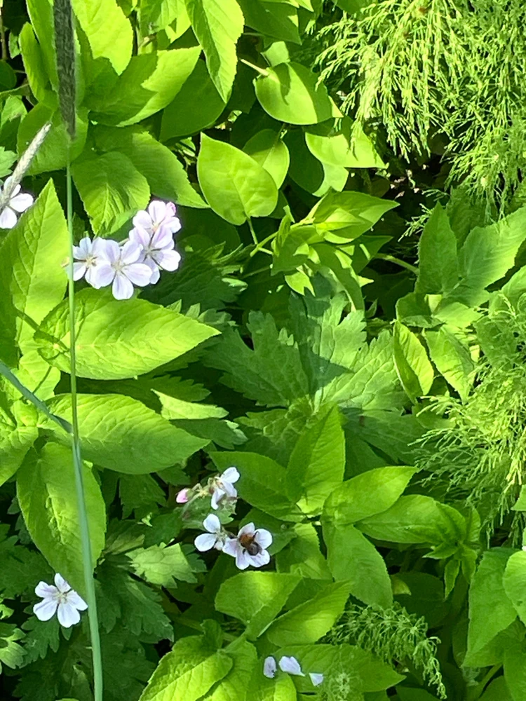 GIF uploaded by Fakhereh