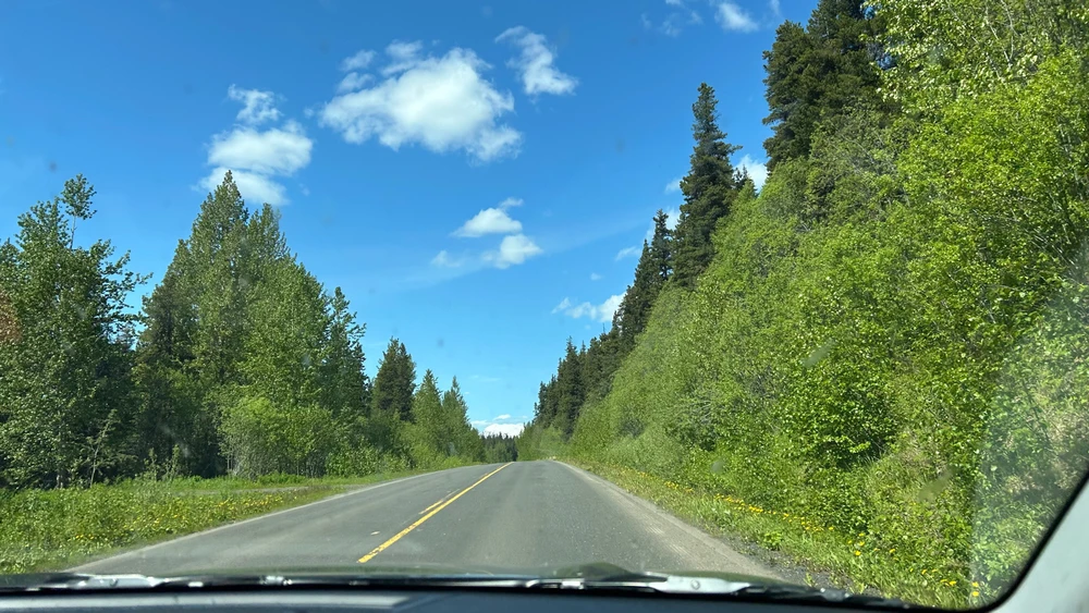 Image uploaded by Matthew