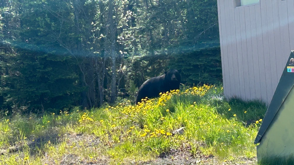 Image uploaded by Matthew