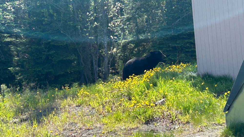 Image uploaded by Matthew