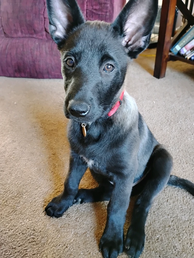 GIF uploaded by Jane