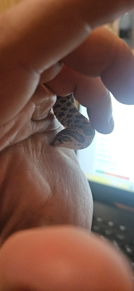 GIF dodany przez Damian